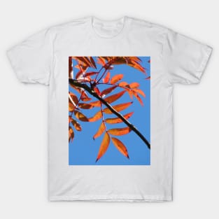 Autumn T-Shirt